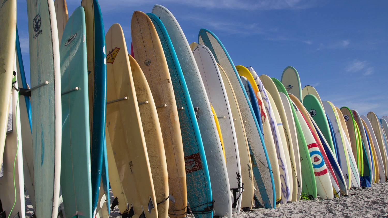 Lecciones de Surf